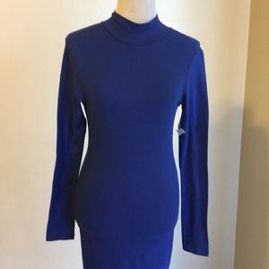 Blue Stretch Dress